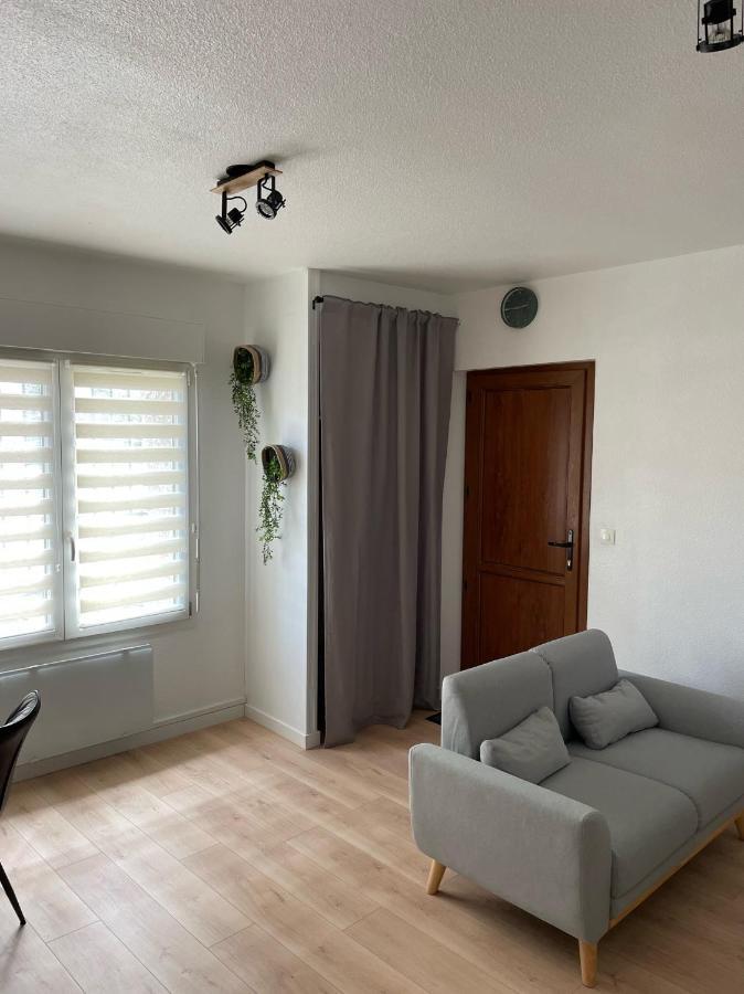 Appart Avec Chambre Lumineux Et Chaleureux Le Boulou Exteriör bild